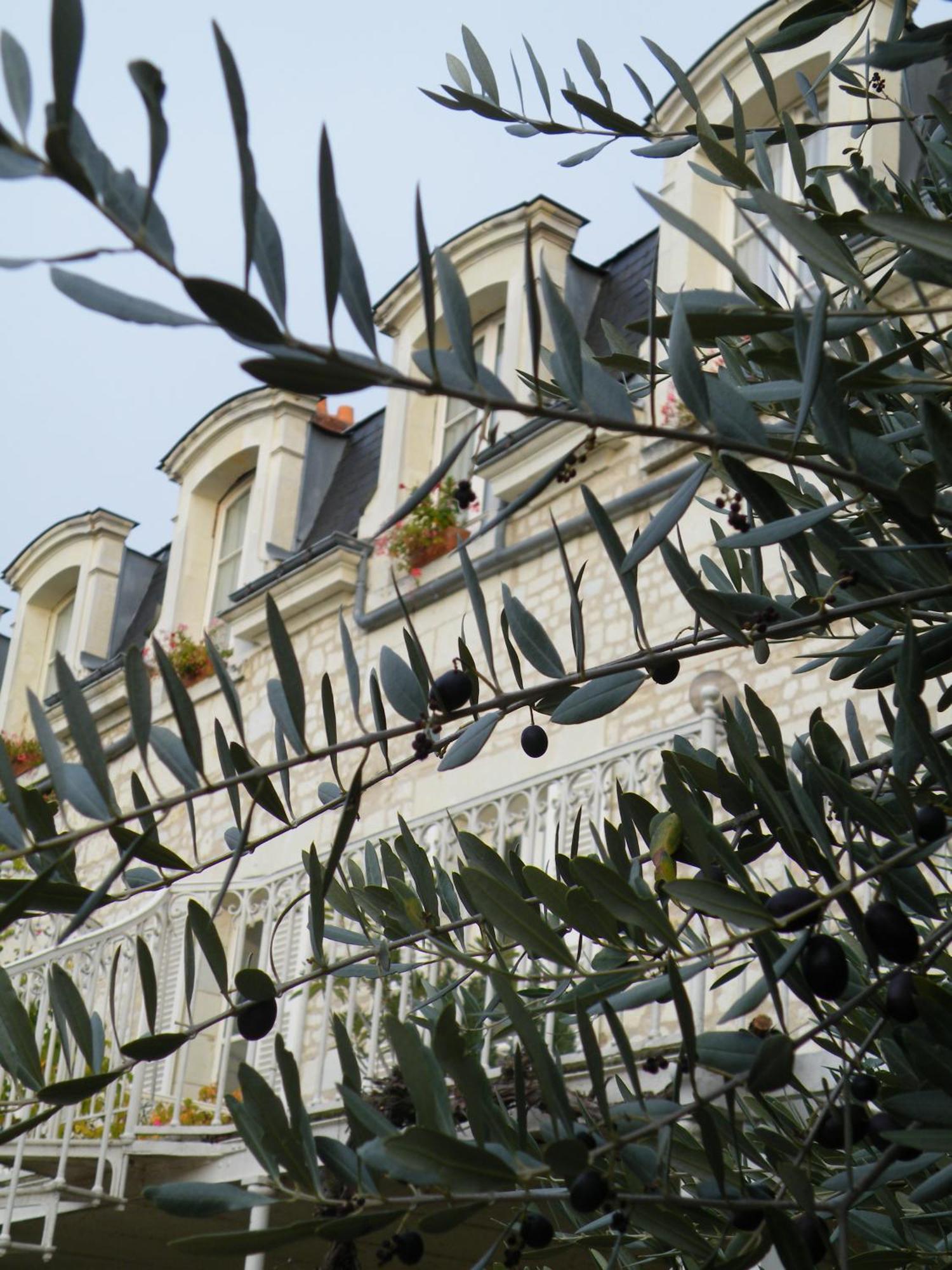 Hotel Diderot شينون المظهر الخارجي الصورة